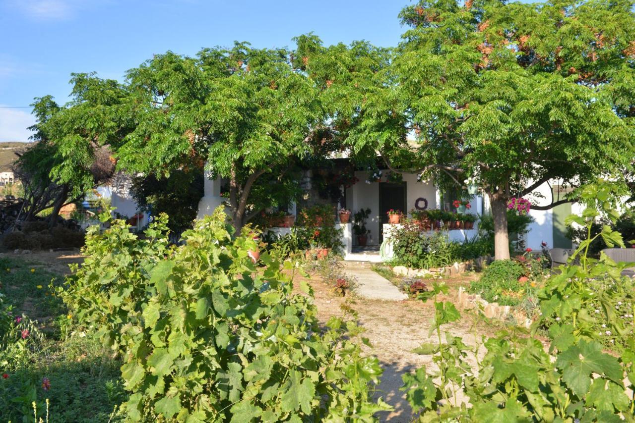 Ktima Dimitrios Villa Naxos City Eksteriør bilde